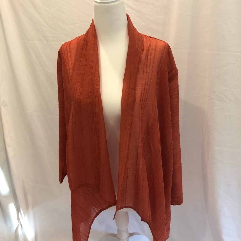 Chico’s Travelers collection crushed jacket